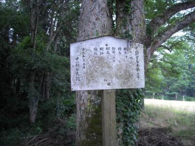 高津八幡宮のケヤキ