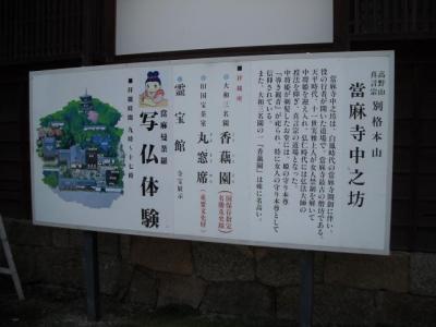當麻寺にて