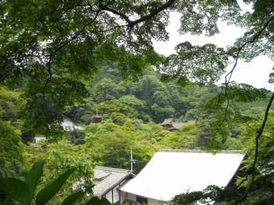 藤原鎌足を祀る談林神社にて