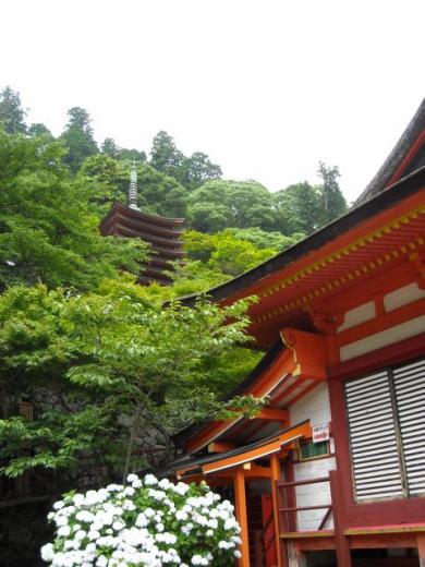 藤原鎌足を祀る談林神社にて