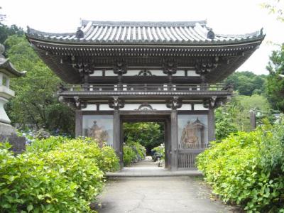あじさい寺・観音寺にて