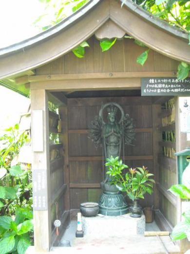 あじさい寺・観音寺にて