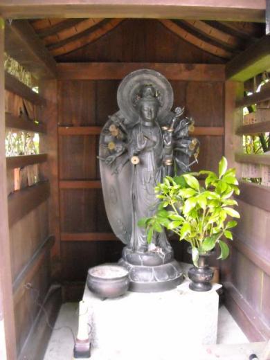 あじさい寺・観音寺にて