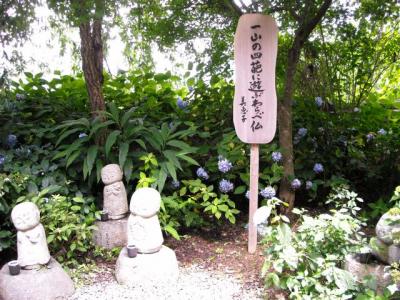 あじさい寺・観音寺にて