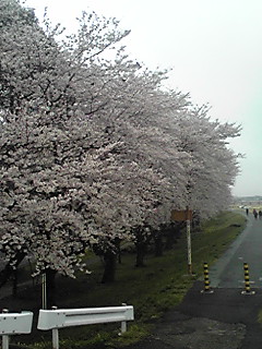 130331_1040~01
