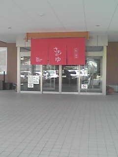 130505_1340~01