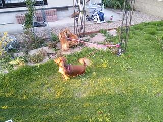 20130720_192534.jpg