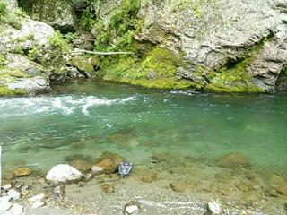 DSC_0002.jpg
