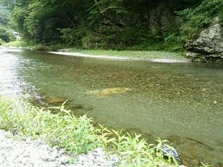 DSC_0011.jpg
