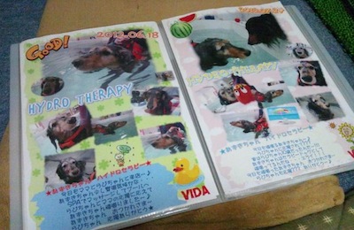 20130419-12JPG.jpg