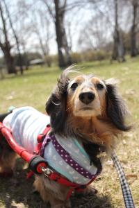 IMG_148820130508-5JPG.jpg