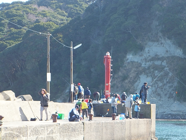 DSCF6328.jpg