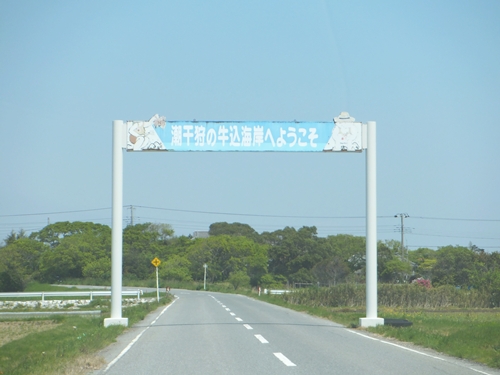 DSCF6482.jpg