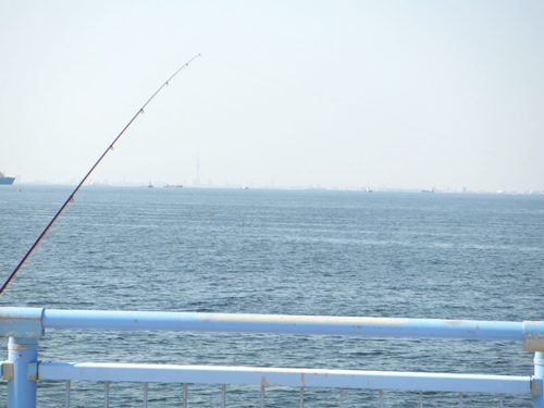 DSCF6504.jpg