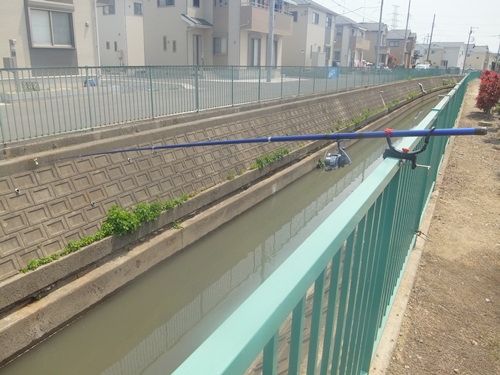 DSCF6513.jpg