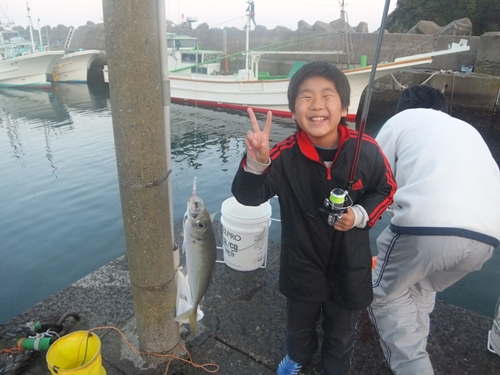 DSCF6549.jpg