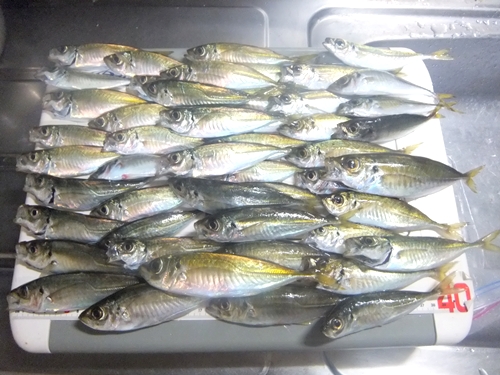 DSCF6557.jpg