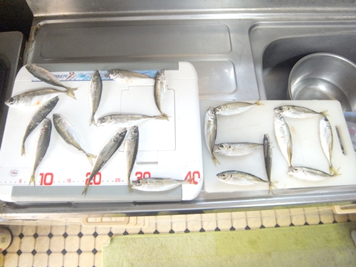 DSCF6567.jpg
