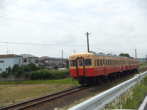 DSCF6637.jpg