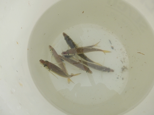 DSCF6644.jpg