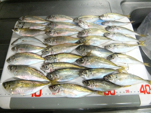 DSCF6656.jpg