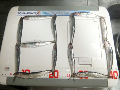 DSCF6663.jpg