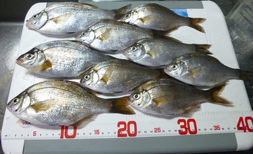 P1000099.jpg