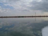 3_20120110230959.jpg