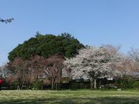 3_20120408233210.jpg