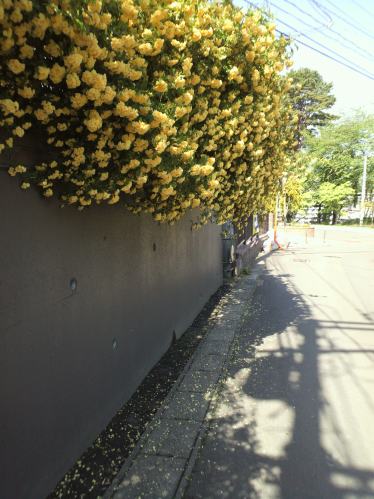 P1001747.jpg