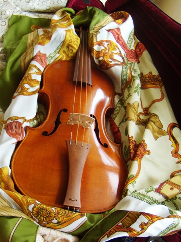 通常在庫品 5弦バイオリン バロック型 - 通販 - www.saint-venant.fr