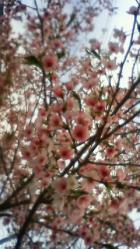 201204150921000.jpg