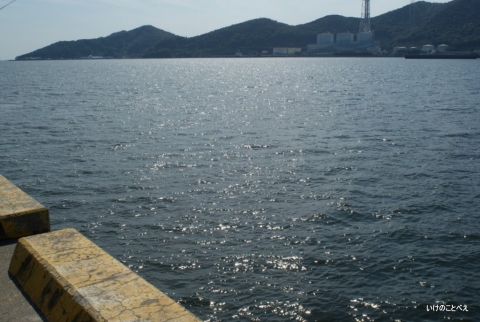 野瀬埠頭岸壁