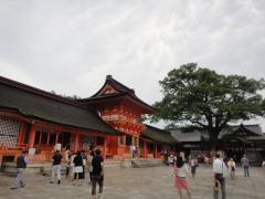 oita2011_b09.jpg