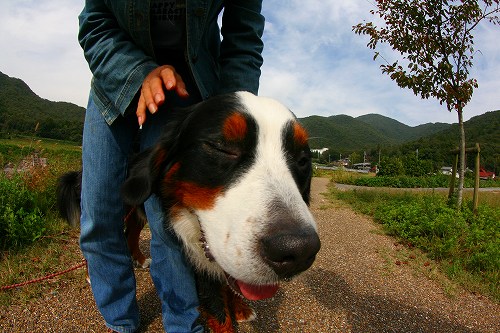 s-IMG_7832f.jpg