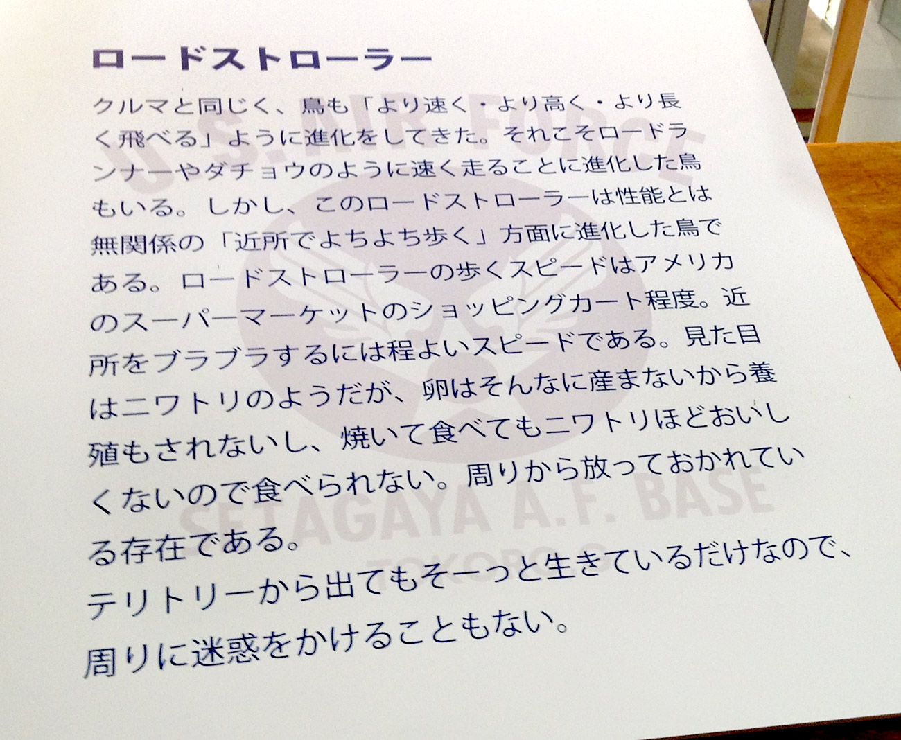 201409176.jpg