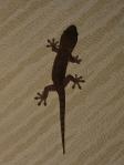 20110812_222034.jpg