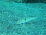 20110814_154647.jpg