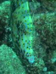 20110816_100900.jpg