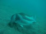 20110817_103059.jpg