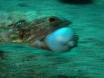 20110820_103855.jpg
