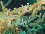 20110820_134832.jpg
