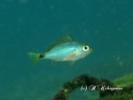 c20131121_103821.jpg
