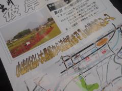 今年はお彼岸直前、大型台風が来たりしちゃいましたが。絶対来年も観に来ようと思います!!ステキな散歩コースに咲き乱れる彼岸花。河原散歩が好きな方にはおススメです♪
