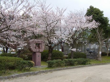 湊山公園オブジェ前桜