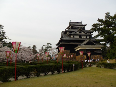 桜とぼんぼり