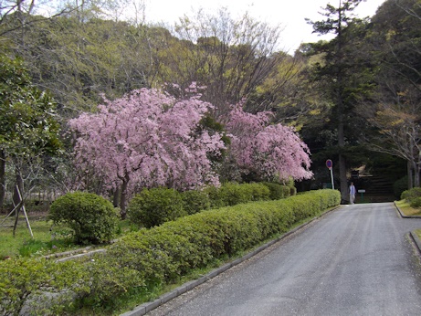 城跡入り口