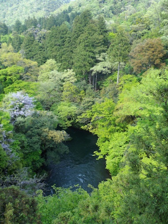 部屋から渓流