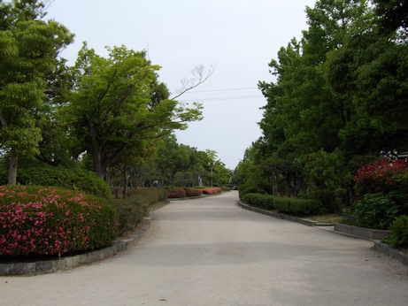 湊山公園2