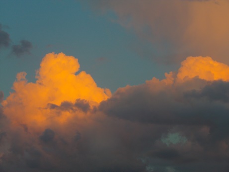 IMGP0971.jpg